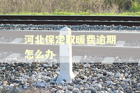 河北保定取暖费逾期怎么办