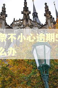 白条不小心逾期5天怎么办