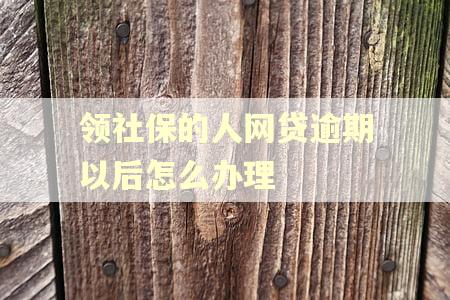 领社保的人网贷逾期以后怎么办理
