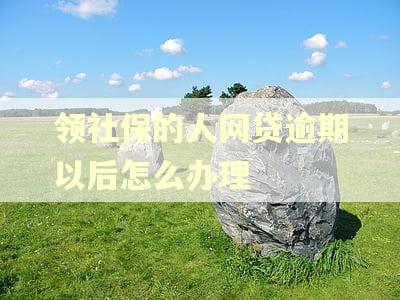 领社保的人网贷逾期以后怎么办理 领社保的人网贷逾期以后怎么办理
