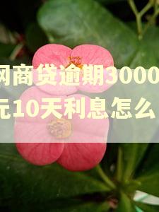 网商贷逾期3000元10天利息怎么箄?