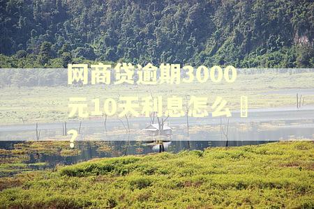 网商贷逾期3000元10天利息怎么箄?