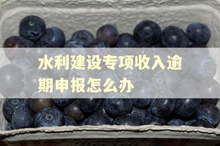 水利建设专项收入逾期申报怎么办