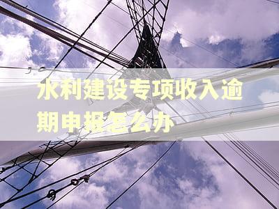水利建设专项收入逾期申报怎么办