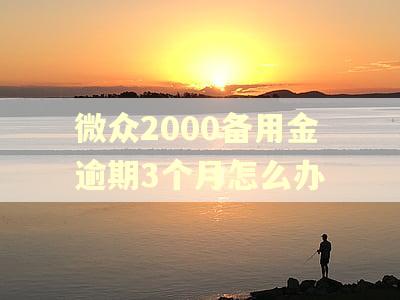 微众2000备用金逾期3个月怎么办