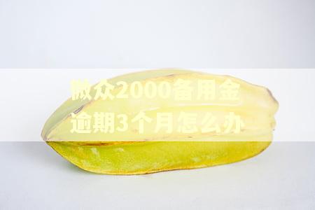 微众2000备用金逾期3个月怎么办