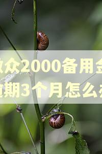微众2000备用金逾期3个月怎么办