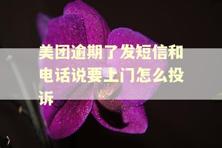 美团逾期了发短信和电话说要上门怎么投诉