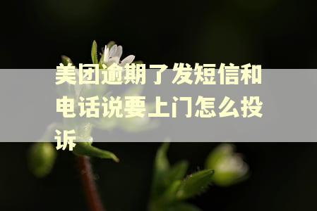 美团逾期了发短信和电话说要上门怎么投诉