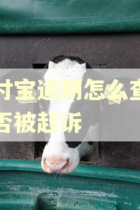 支付宝逾期怎么查看是否被起诉