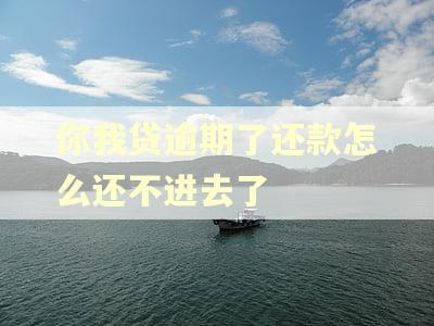 你我贷逾期了还款怎么还不进去了