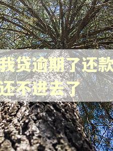 你我贷逾期了还款怎么还不进去了 你我贷逾期了还款怎么还不进去了