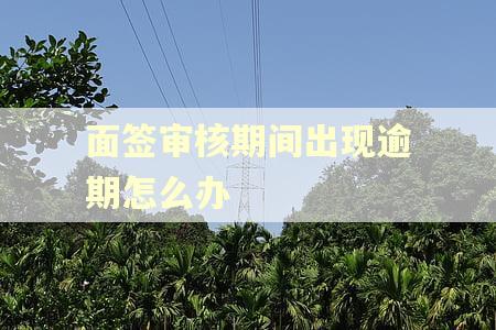 面签审核期间出现逾期怎么办