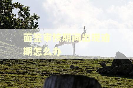 面签审核期间出现逾期怎么办