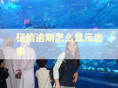 征信逾期怎么显示出来