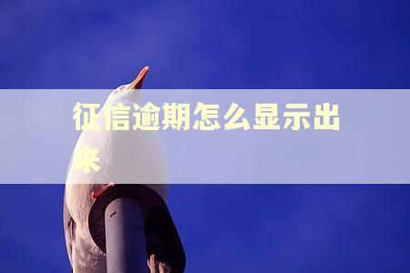 征信逾期怎么显示出来