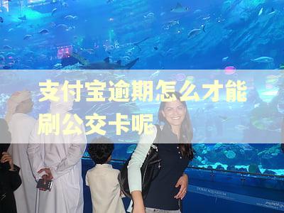 支付宝逾期怎么才能刷公交卡呢