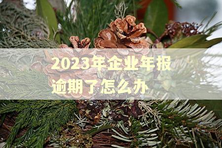 2023年企业年报逾期了怎么办