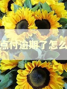 晚点付逾期了怎么办