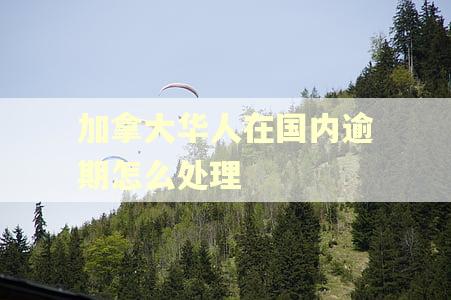 加拿大华人在国内逾期怎么处理