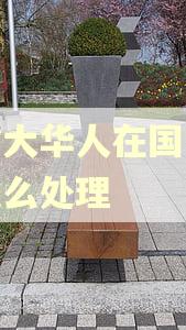 加拿大华人在国内逾期怎么处理