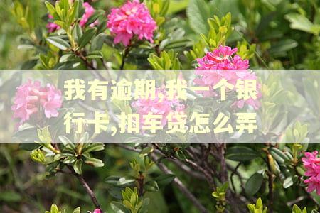 我有逾期,我一个银行卡,扣车贷怎么弄