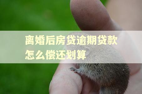 离婚后房贷逾期贷款怎么偿还划算