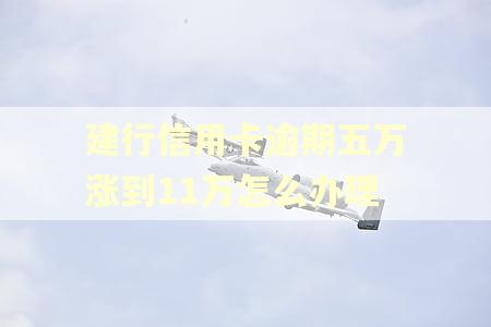 建行信用卡逾期五万涨到11万怎么办理