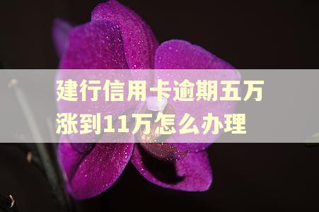 建行信用卡逾期五万涨到11万怎么办理