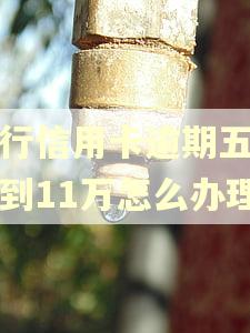 建行信用卡逾期五万涨到11万怎么办理