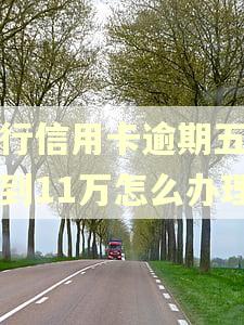 建行信用卡逾期五万涨到11万怎么办理