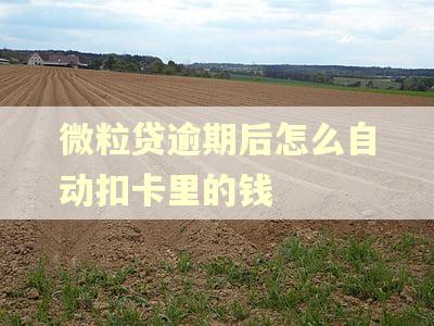 微粒贷逾期后怎么自动扣卡里的钱