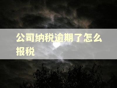 公司纳税逾期了怎么报税