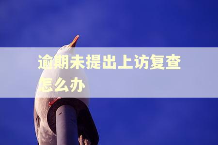 逾期未提出上访复查怎么办