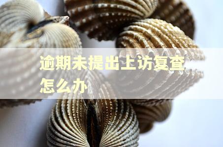 逾期未提出上访复查怎么办