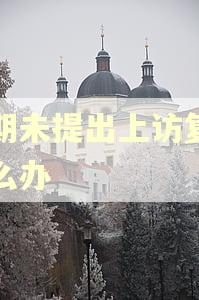 逾期未提出上访复查怎么办