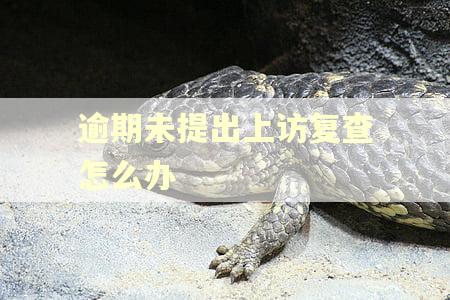逾期未提出上访复查怎么办