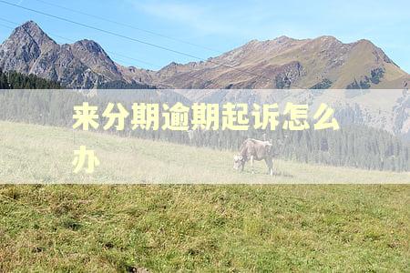 来分期逾期起诉怎么办
