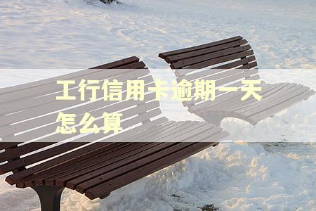 工行信用卡逾期一天怎么算