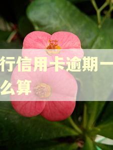 工行信用卡逾期一天怎么算 工行信用卡逾期一天怎么算