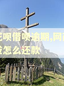 花呗借呗逾期,网商贷怎么还款