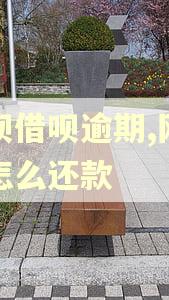 花呗借呗逾期,网商贷怎么还款