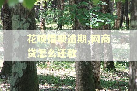 花呗借呗逾期,网商贷怎么还款