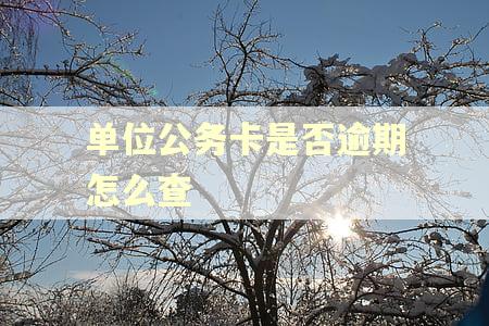 单位公务卡是否逾期怎么查