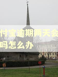支付宝逾期两天会催收吗怎么办