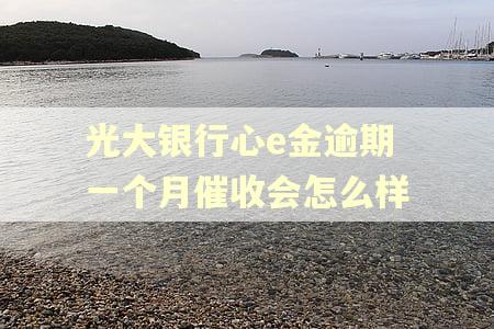 光大银行心e金逾期一个月催收会怎么样