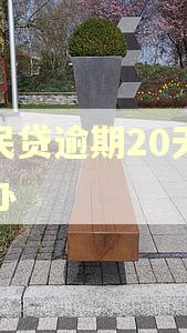惠民贷逾期20天怎么办