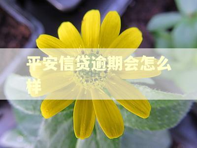 平安信贷逾期会怎么样