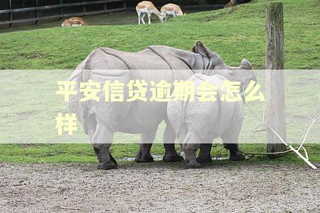 平安信贷逾期会怎么样