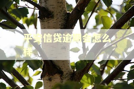 平安信贷逾期会怎么样 平安信贷逾期会怎么样